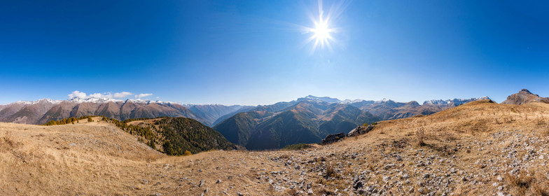 Auron