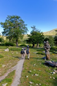 GR 20 Nord
