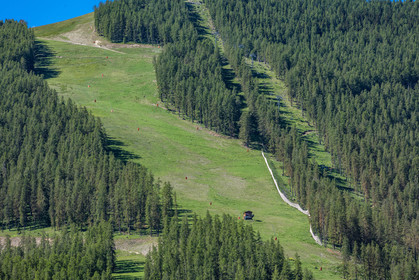 Auron