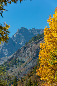 Saint-Dalmas-le-Selvage