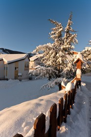 Auron