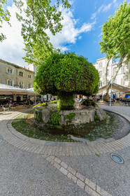 Salon-de-Provence