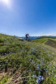 Vtt