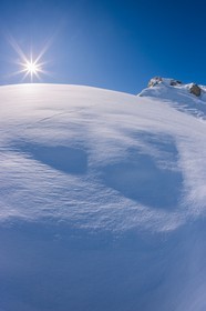 Auron