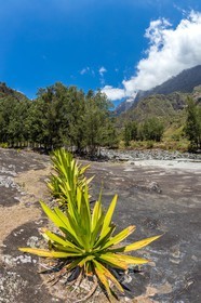 Ile de La Réunion