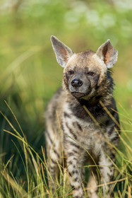 Parc animalier de la Barben
