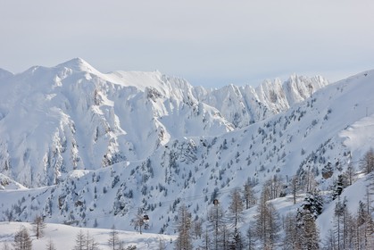 Isola 2000