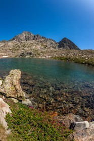 Isola 2000