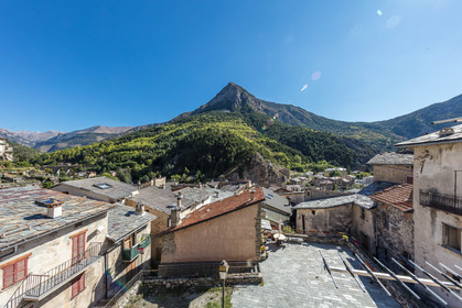 Tende