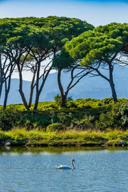 Lérins Sainte-Marguerite