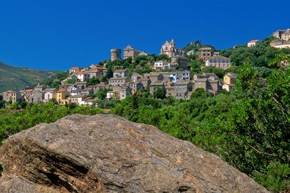 Rogliano