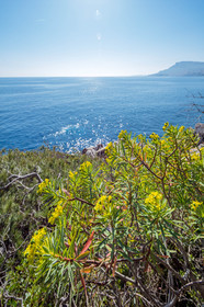Roquebrune-Cap-Martin