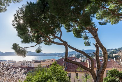 Cannes