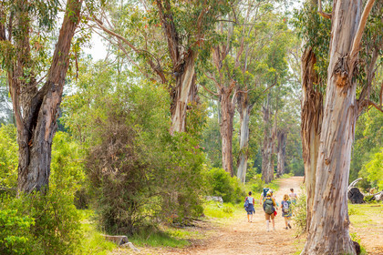 Lérins Sainte-Marguerite