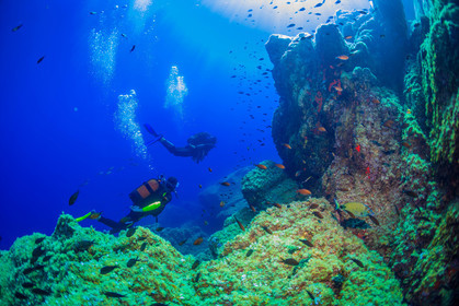 Plongée-sous-marine