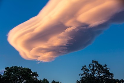 Lenticulaire