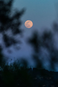 Lune