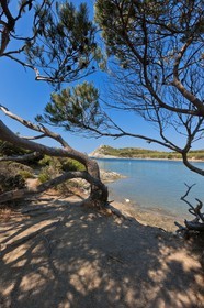 Ile du Grand Gaou
