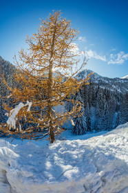 Isola 2000