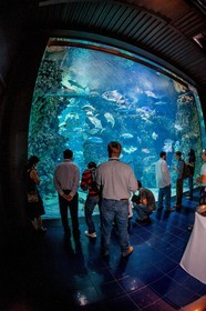 Musée Océanographique de Monaco