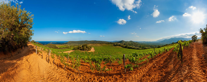 Domaine de Torracia