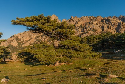 Bavella