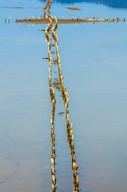Salins d'Hyères
