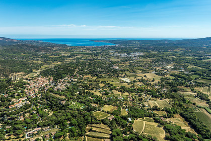 Grimaud