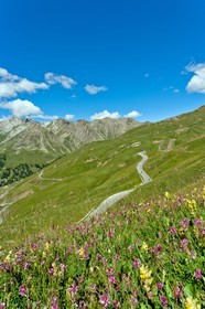 Col d'Allos