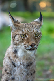 Parc animalier de la Barben