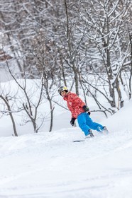 Snowboard