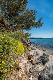 La Londe-les-Maures