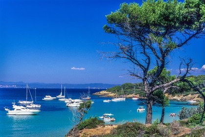 Porquerolles