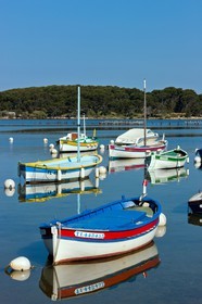 Pointus du Brusc
