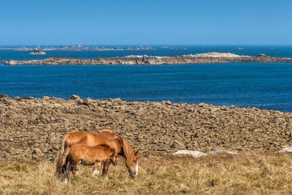 Trémazan