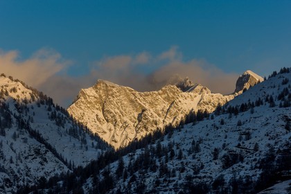 Auron