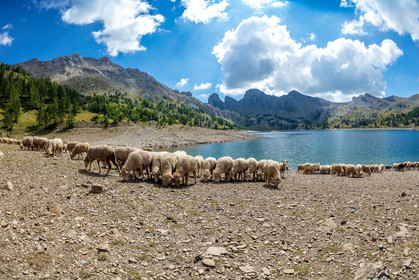 Lac d'Allos