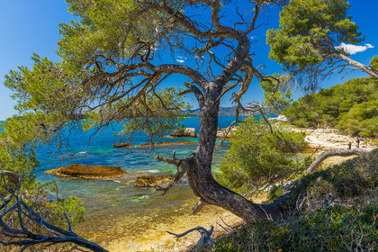 Lérins Sainte-Marguerite 2024