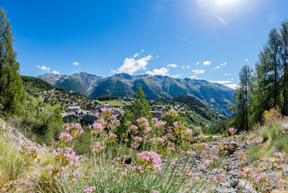Auron