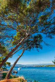 Ile St Honorat