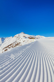 Auron