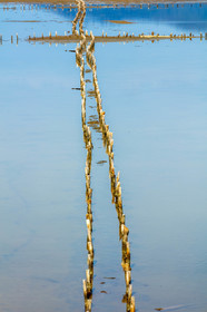 Salins d'Hyères