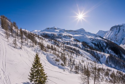 Auron