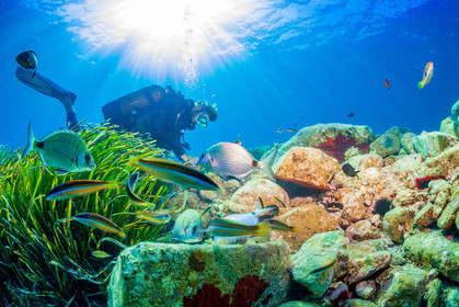 Plongée-sous-marine