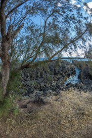 Ile de La Réunion