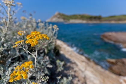 Ile du Grand Gaou