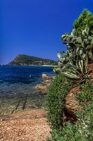 .Rayol-Canadel-sur-Mer