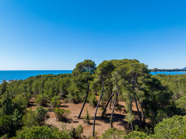 Lérins Sainte-Marguerite 2024
