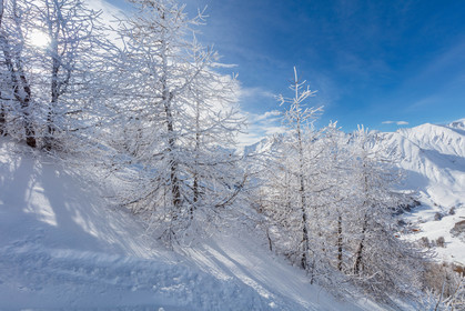 La Foux-d'Allos