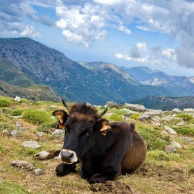 GR 20 Nord